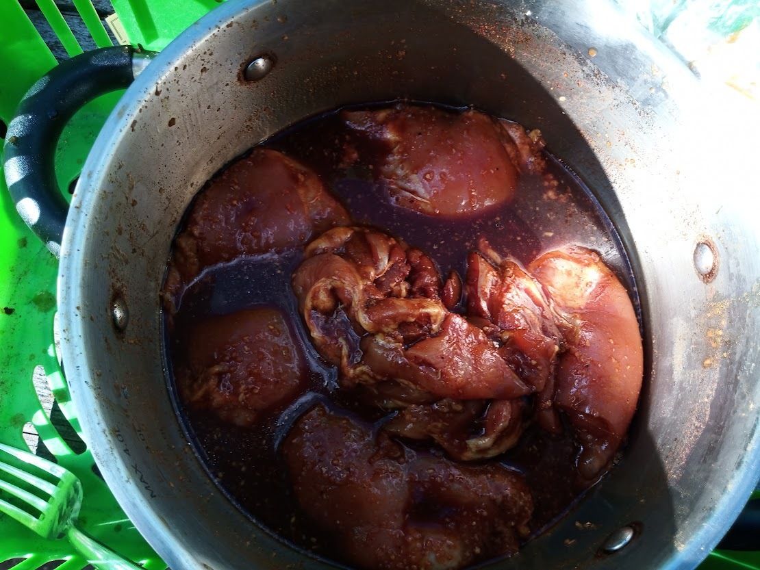 Невероятно простой рецепт шашлыка из курицы для начинающих. Почти Третий Интернационал: индийское карри против арабской куркумы