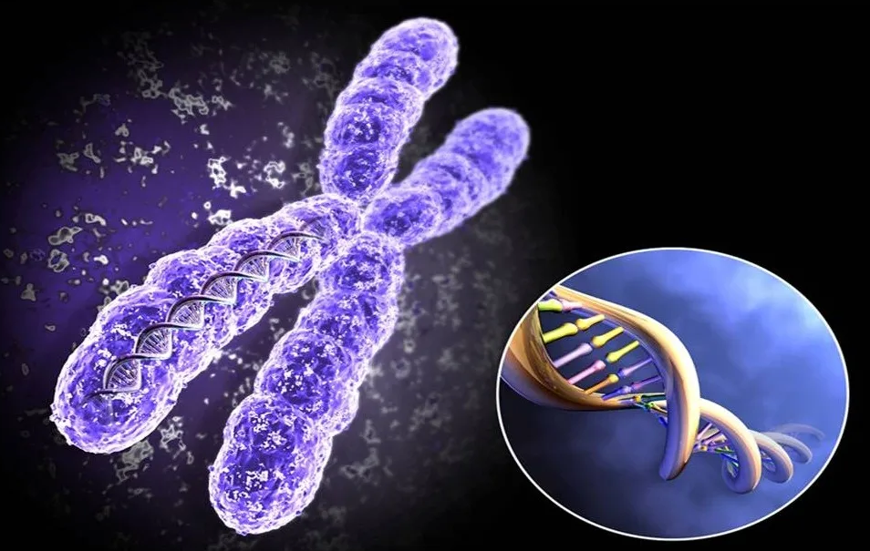 Генетика. Прорывы и открытия. ВИЧ, коровье молоко без аллергии, старение