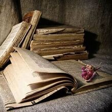 Слюсарь Елена Васильевна, г. Псков