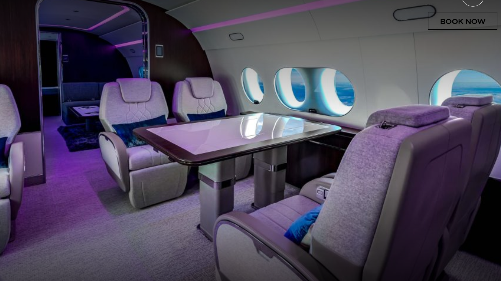 «Небесные забавы» за 14 000 долларов в час.