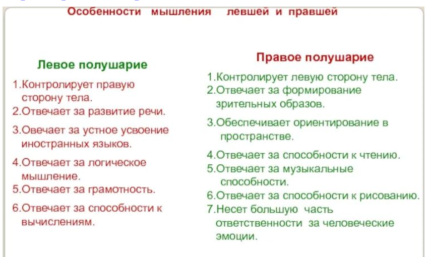 Правша. Особенности мышления левшей. Особенности правшей. Левши особенности. Особенности леворуких и праворуких детей.