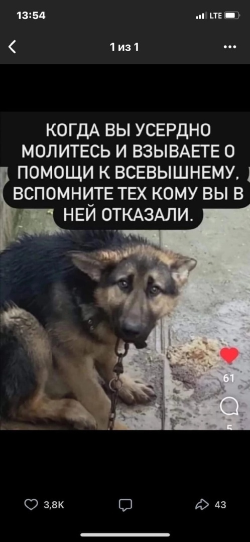 Человек без ноги – надежда на протез. Без руки – надежда та же. Только если он без души – надежды нет. Таких протезов не существует