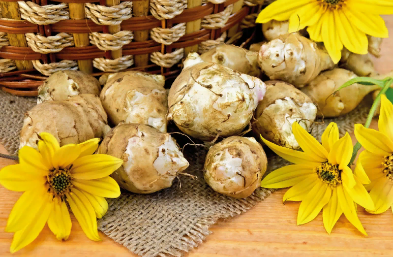 Топинамбур – уникальный продукт, спасающий от диабета и лишнего веса