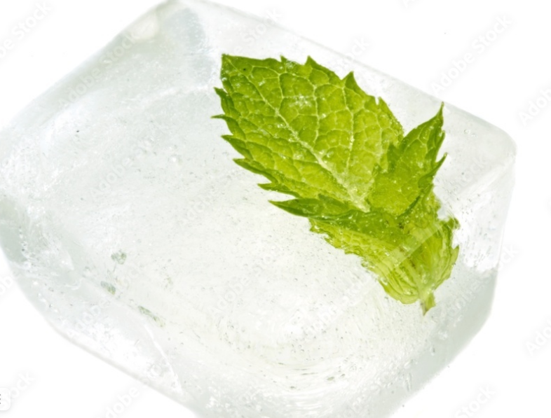 Как сохранить мяту на зиму? Самые лучшие способы!