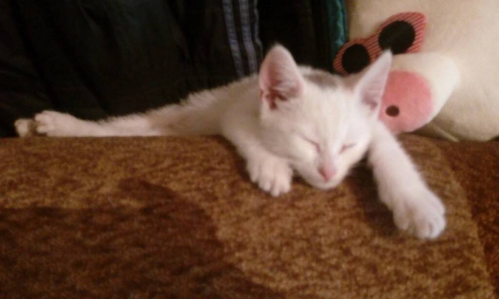 Малыш, который напряг ДЗЕН