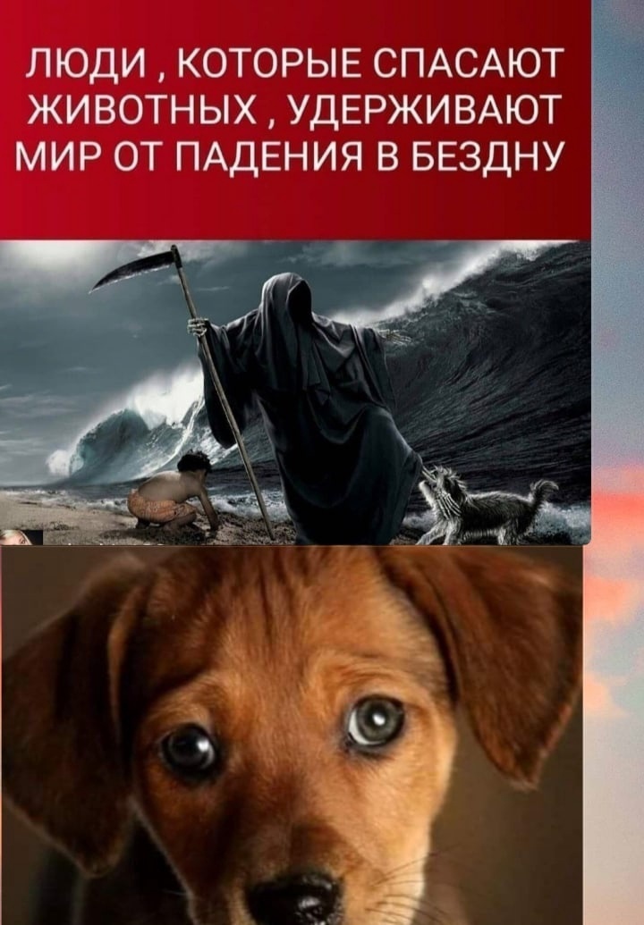Человек без ноги – надежда на протез. Без руки – надежда та же. Только если он без души – надежды нет. Таких протезов не существует