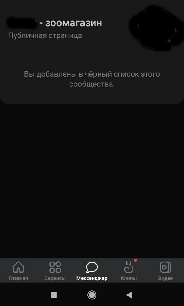 Котики в шоке! Мошенники уже и на них наживаться начали. Что дальше?