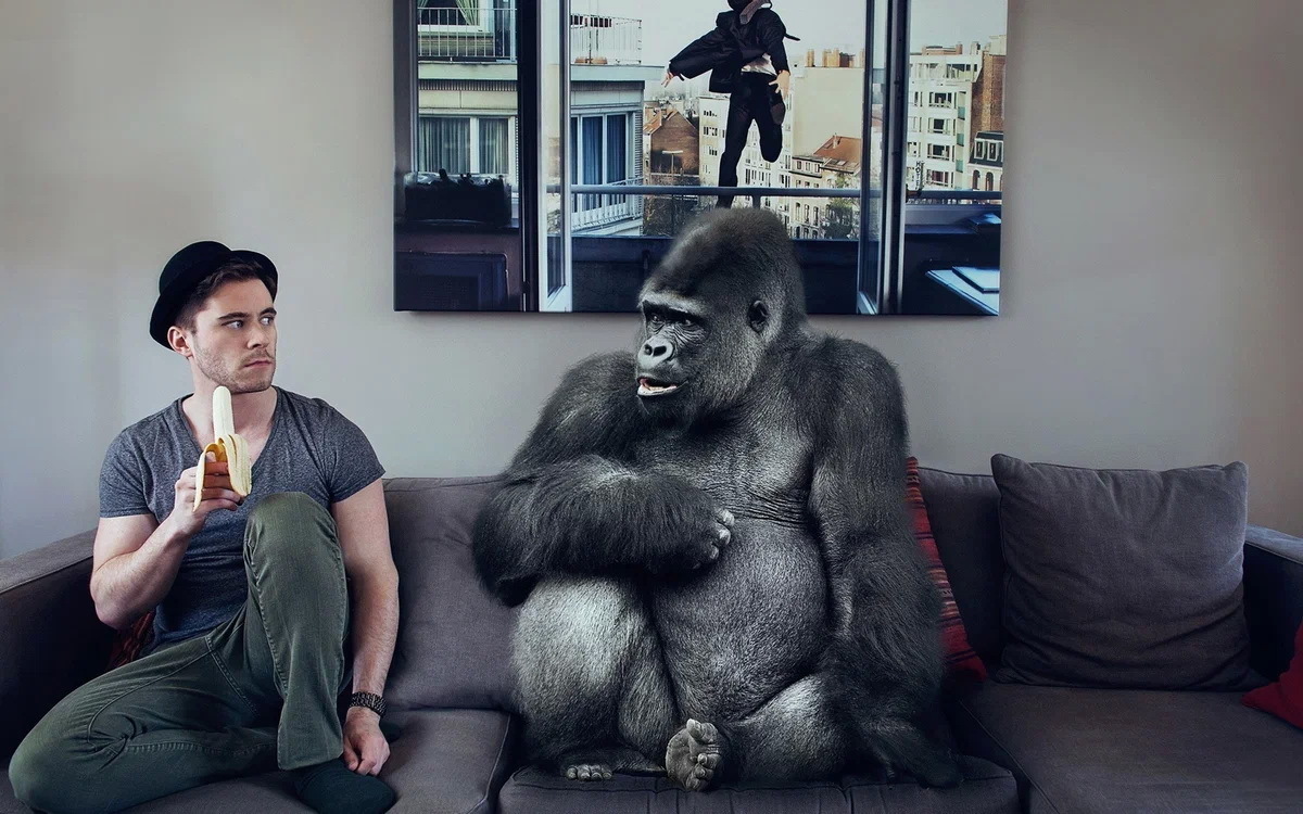 Неужели Вы думаете, что человек эволюционно, психологически и духовно сильно отличается от обезьяны? Как раз таки - нет!