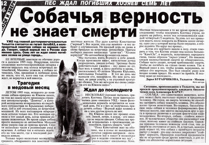 Чем больше узнаю людей, тем больше мне нравятся собаки.Самый верный друг. Верность собаки