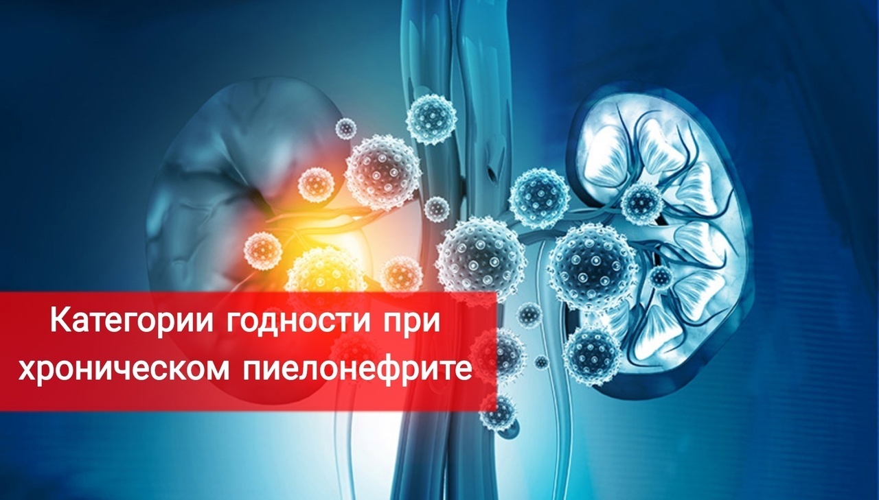Категории годности при хроническом пиелонефрите