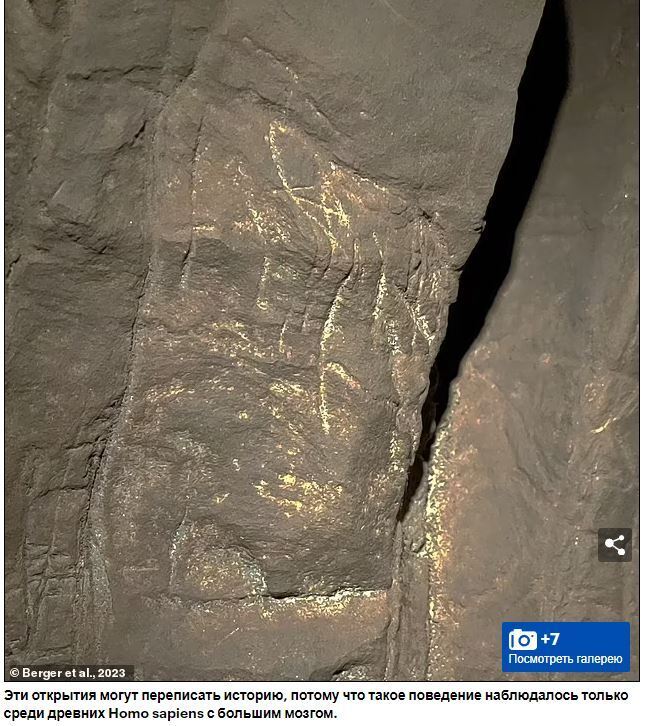 Старейшее в мире место захоронения бросает вызов эволюции человека: ученые обнаружили примитивные виды с маленьким мозгом, которые жили более 200 000