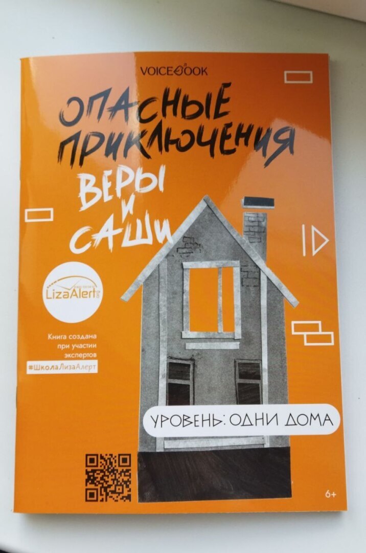 ЛизаАллерт в помощь нашим детям.