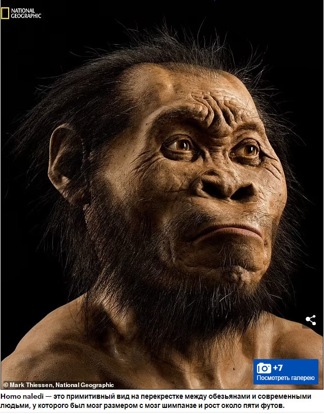 Старейшее в мире место захоронения бросает вызов эволюции человека: ученые обнаружили примитивные виды с маленьким мозгом, которые жили более 200 000