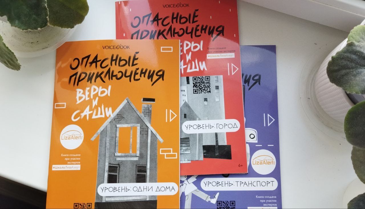 ЛизаАллерт в помощь нашим детям.