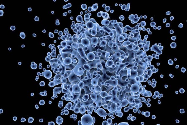 Кишечные бактерии могут объяснить, почему некоторые люди доживают до 100 лет.