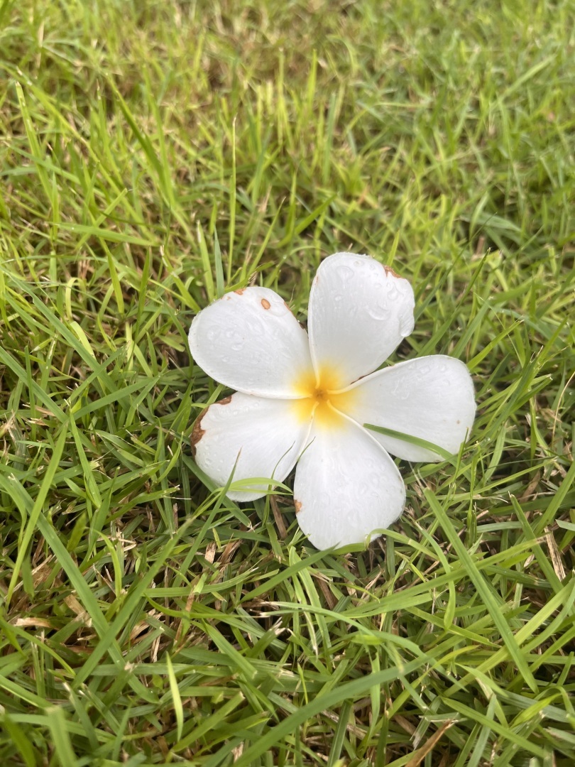 Почему о вас говорят плохо? Нужно ли бороться с «токсичными» людьми?