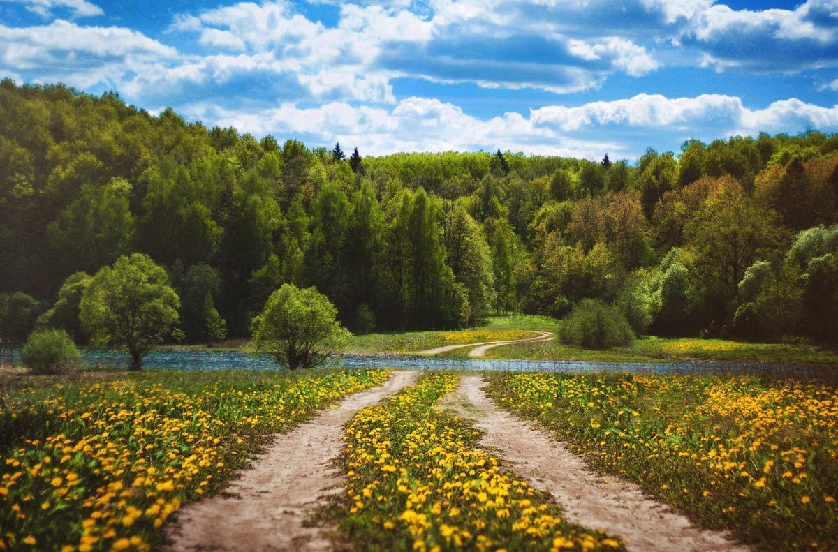 Берегите лес. Наши зеленые друзья.