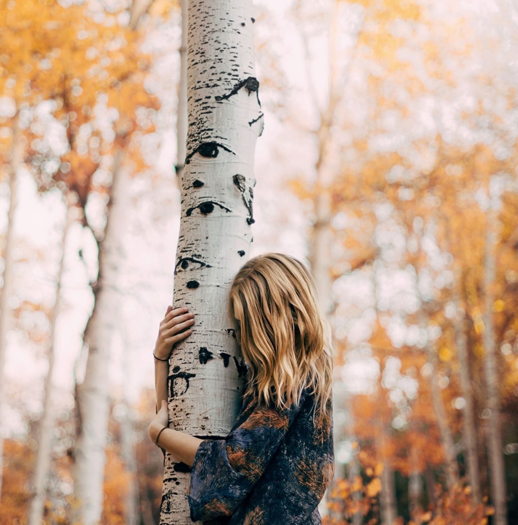 Берегите лес. Наши зеленые друзья.