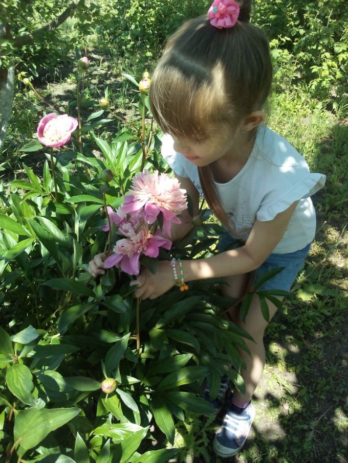Как организовать ребенку летний отдых в деревне