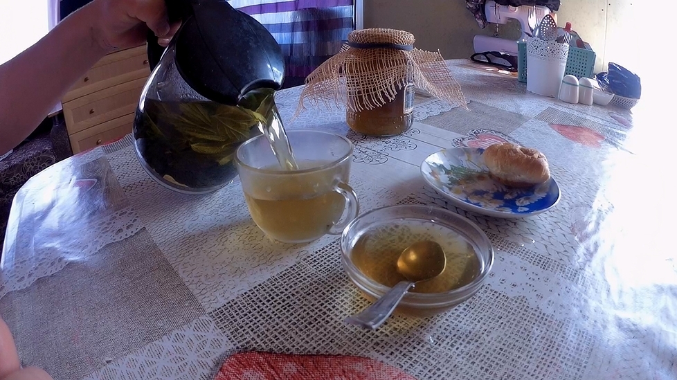 Бросила всё, уехала в деревню. Живу в глуши, ем траву. Опять лишения