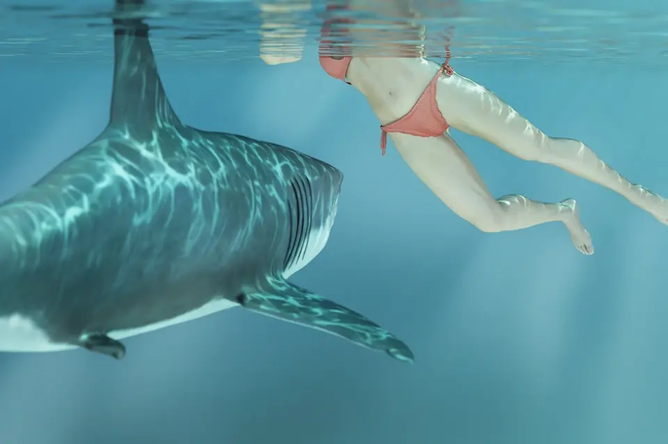 Убийство туристов акулами - это редкое явление