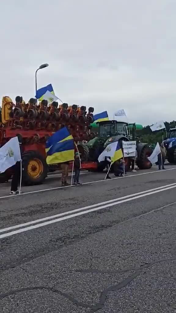 Украинцы в польше
