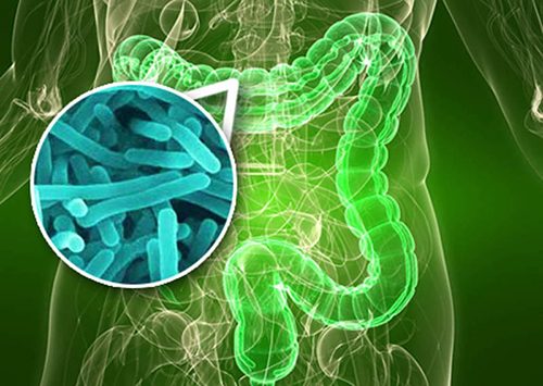 Девять факторов, способствующих кишечным заболеваниям, и семь, которые защищают нас от них.