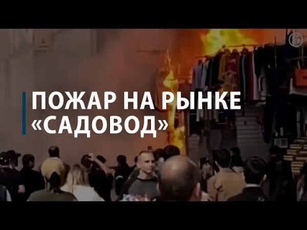 Происшествия москва сегодня