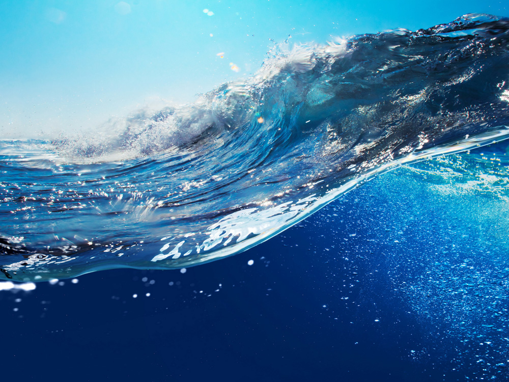 10 захватывающих фактов о Мировых Океанах