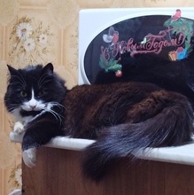 Галина, г. Южно-Сахалинск