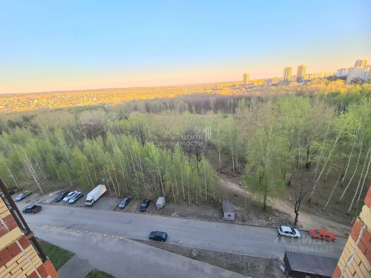 Казань Ноксинский Лес Природы