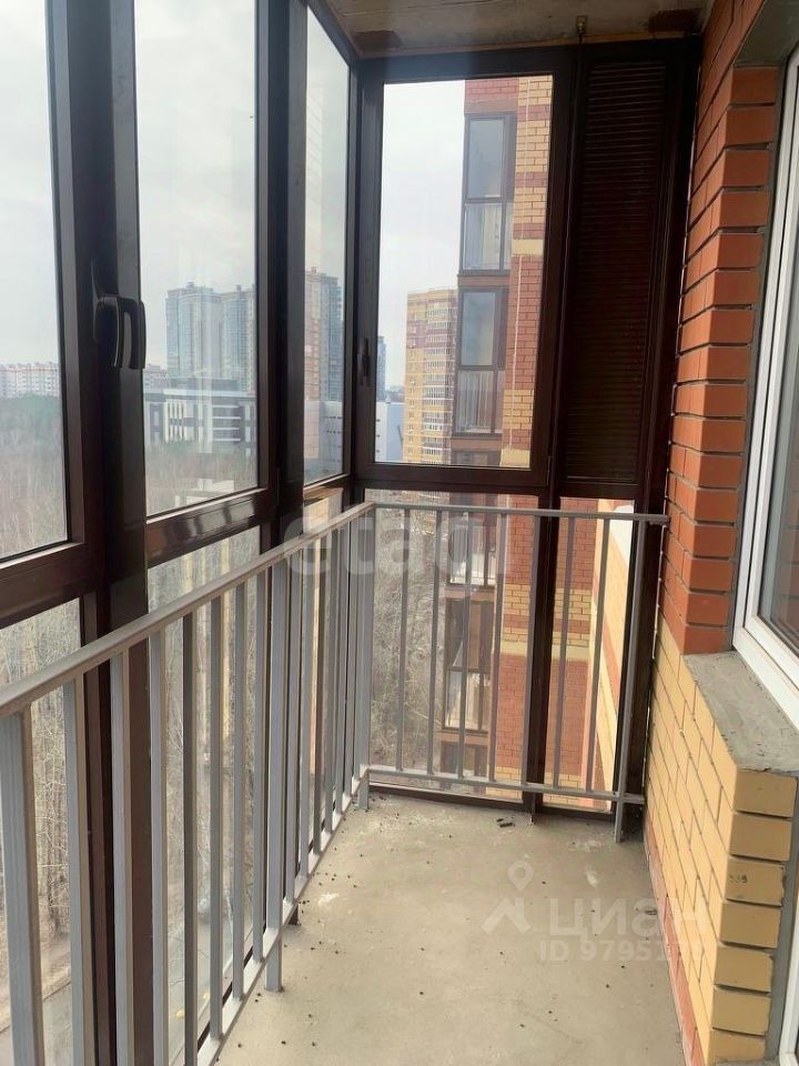 Казань Ноксинский Лес Природы