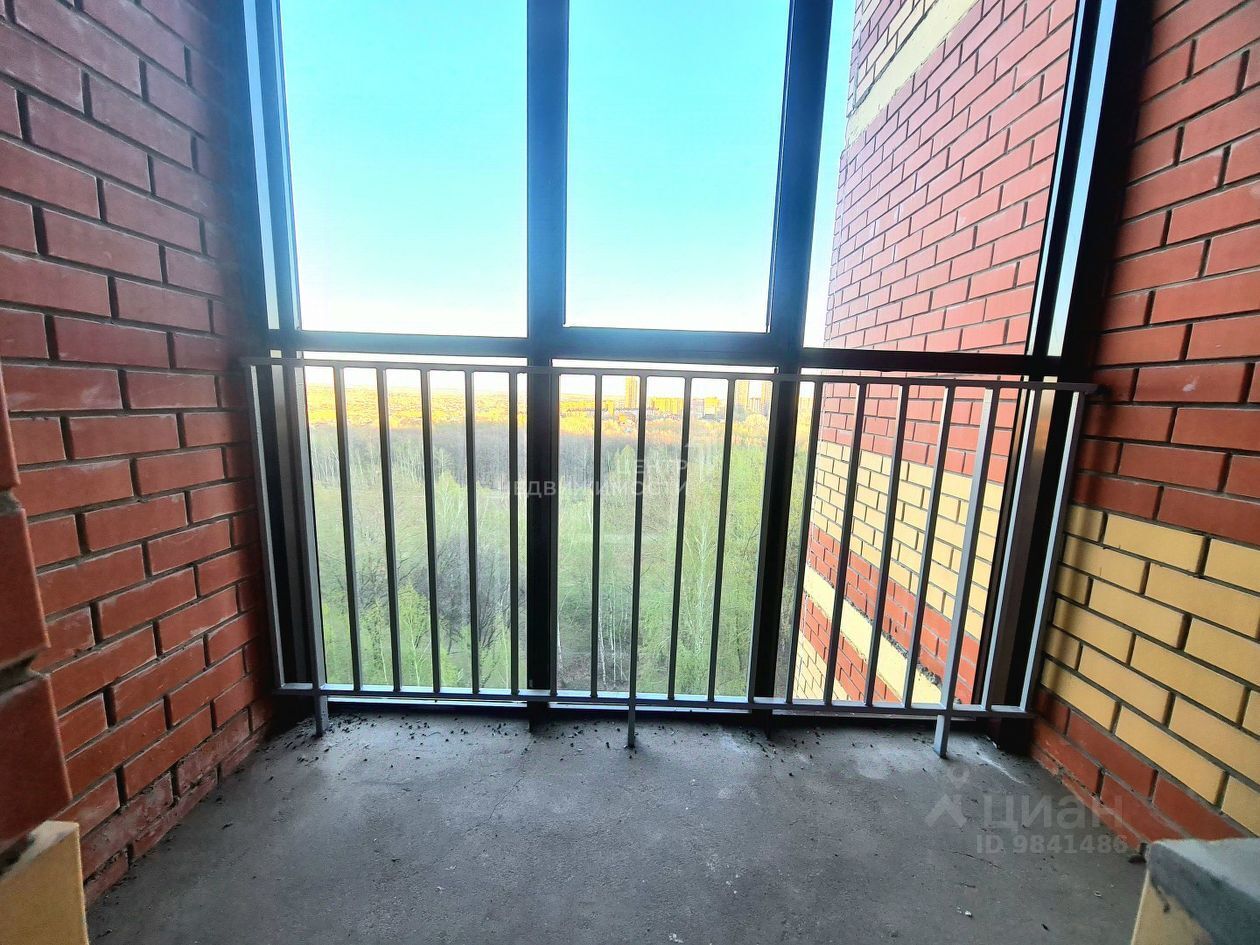 Казань Ноксинский Лес Природы