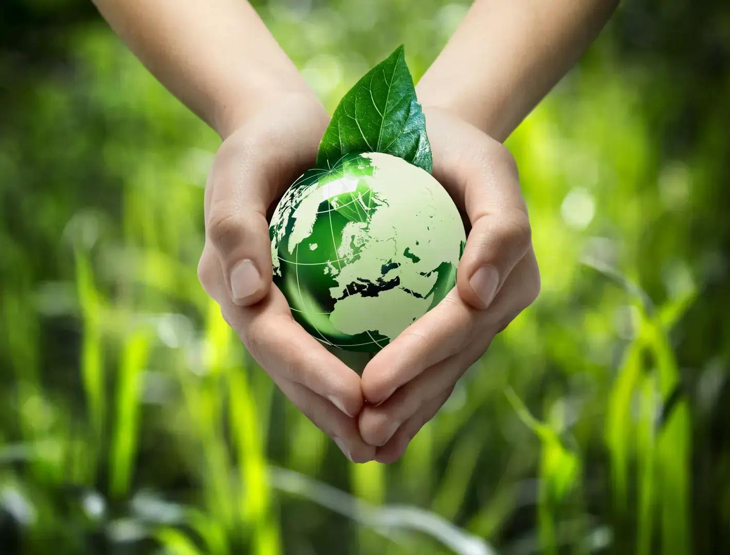 Реклама и экология: какие компании способствуют защите окружающей среды?