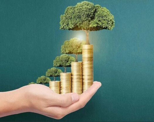 Россия богатая или бедная страна? А вы живёте или выживаете?