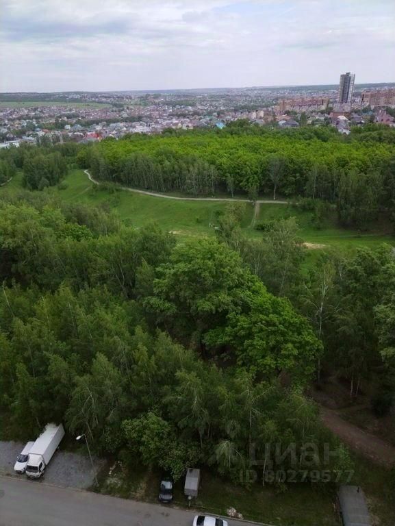 Казань Ноксинский Лес Природы