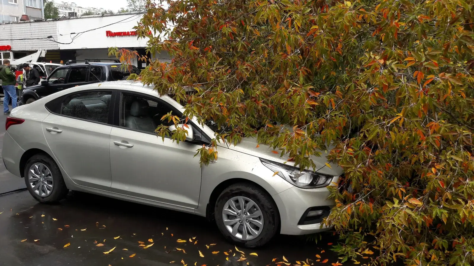 Сдавать ли задом по требованию гаишника, практика.