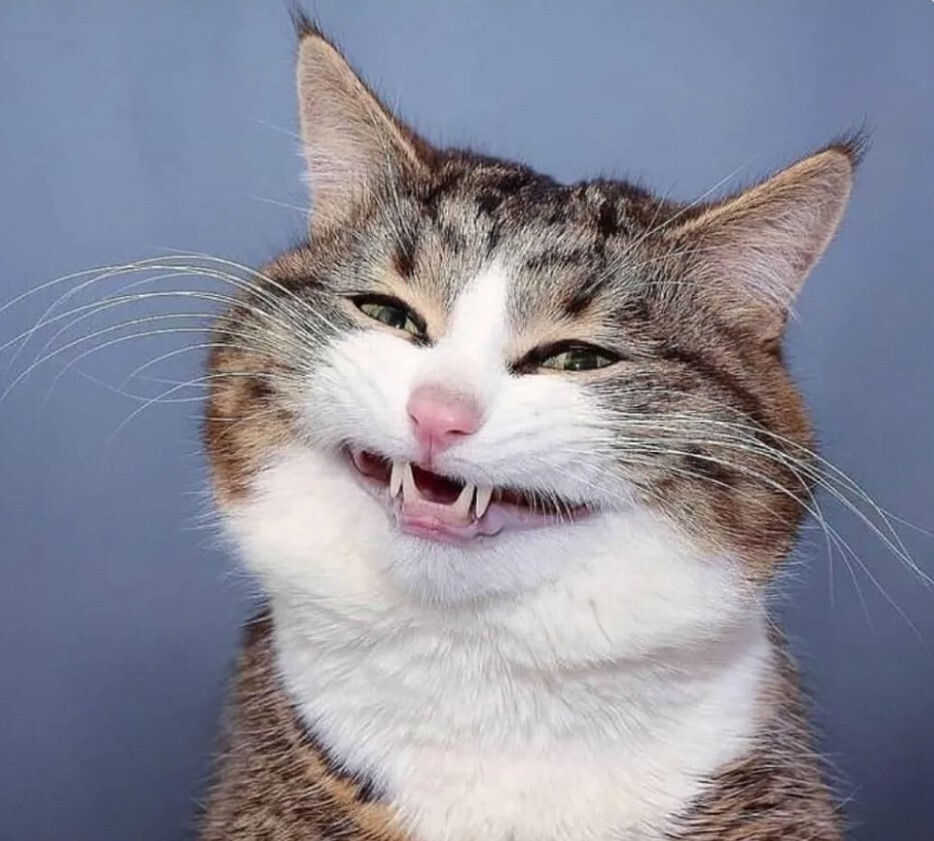 Зачем мы смеемся не в тот момент: управление эмоциями и смехом