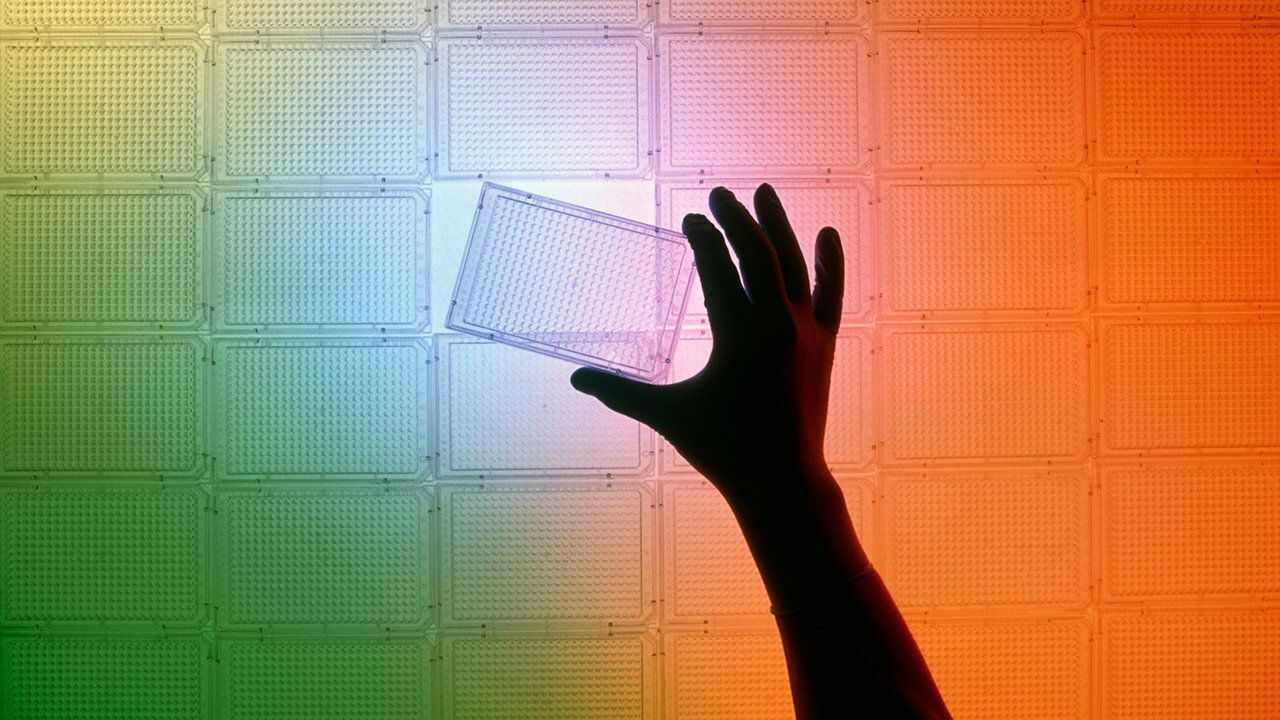 Проект "Геном человека" изменил биологию