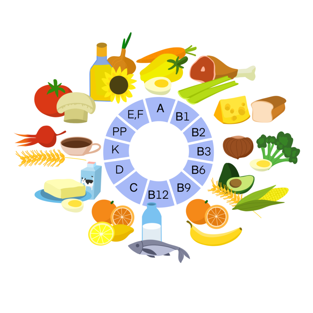 Витамин В — регулятор жизнедеятельности