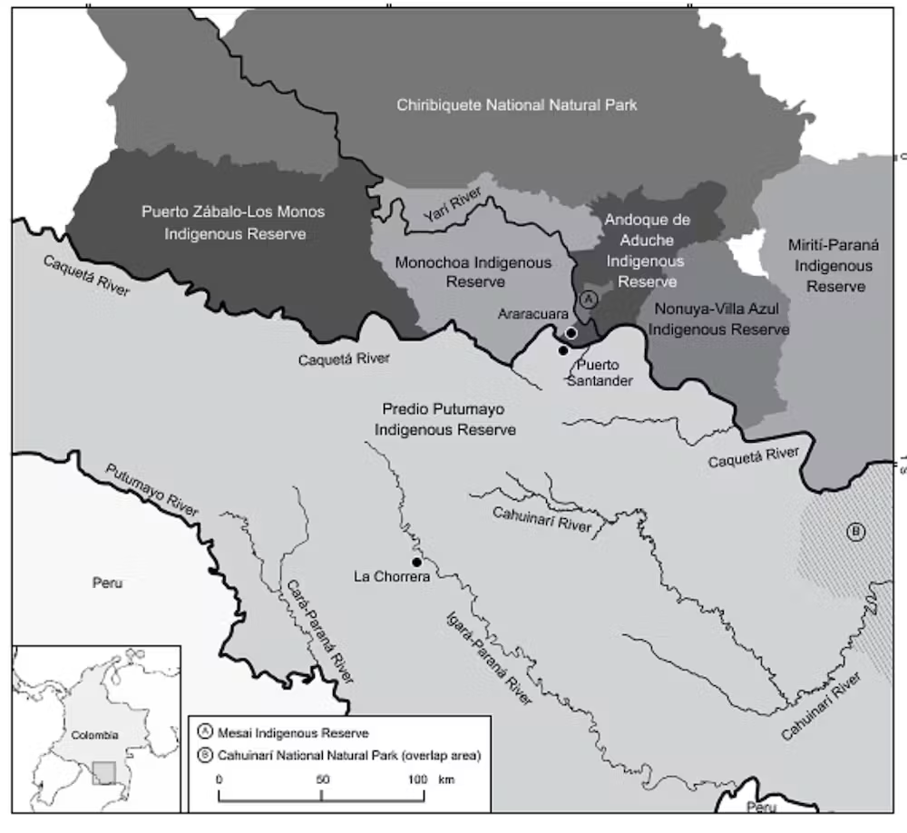 Как знания коренных народов помогли четырем детям выжить 40 дней в тропических лесах Колумбии.