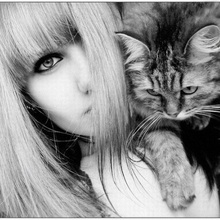 Лиса, г. Ставрополь