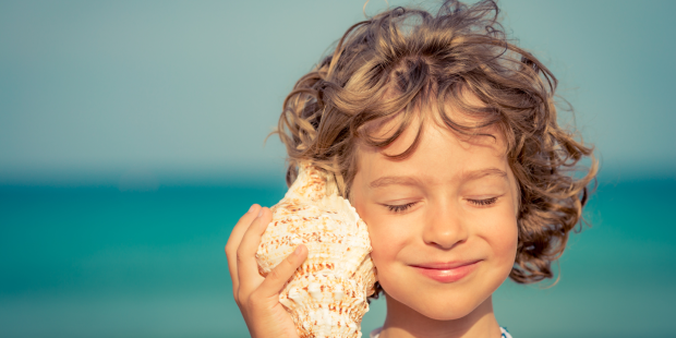 Что за шум мы слышим, поднося морскую раковину к уху?