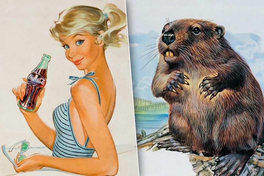 От кока-колы до яичек бобра: 9 самых странных методов контрацепции из прошлого, которые вас шокируют