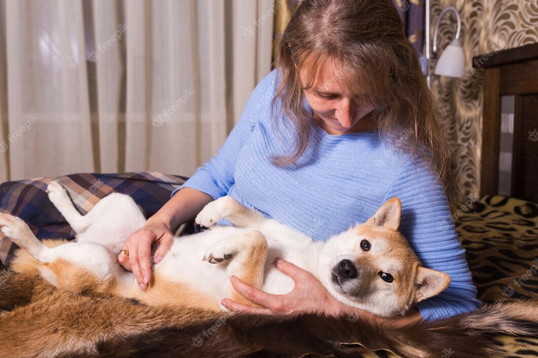 "Конфликт развода достиг апогея: Мужчина и женщина делили собаку. Но то, как все закончилось, превзошло все ожидания!"
