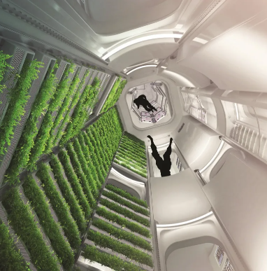 Чтобы открыть космические границы, CLD не должен потерпеть неудачу