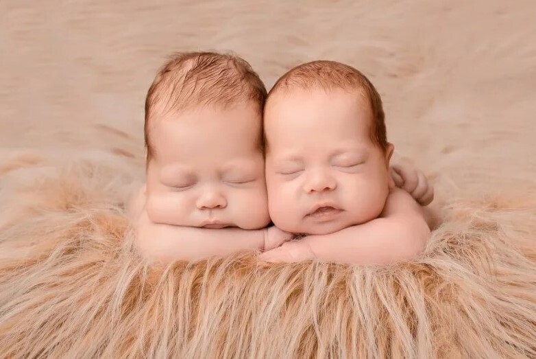 «А консерватор я по маме»», или Влияют ли гены на политические предпочтения