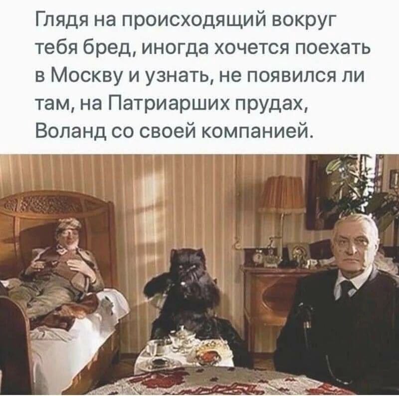 Бред вокруг нас!