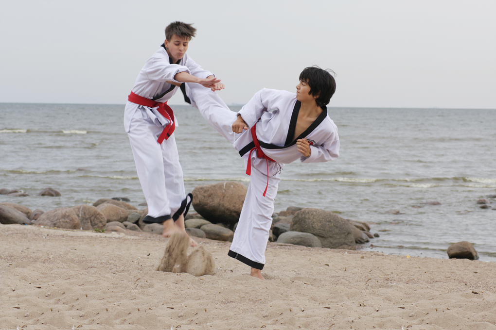 Сколько видов Боевых Искусств в Мире? (часть 1)