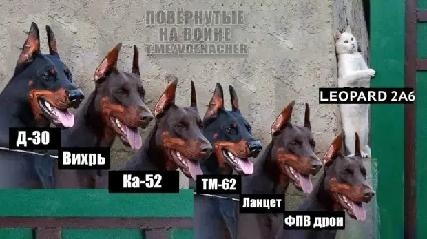 Подлость и коварство – СМИ Запада.